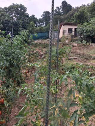 Se cambia huerta por garaje.