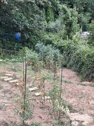 Se cambia huerta por garaje.