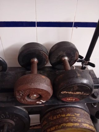 Mancuernas 15 kg (2 unidades)