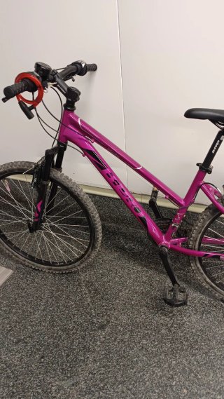 Bicicleta