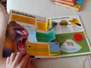 LOTE CUENTOS INFANTILES