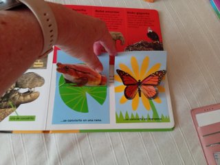 LOTE CUENTOS INFANTILES