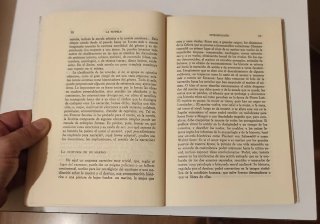 La novela