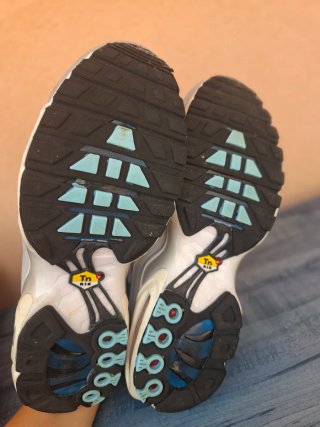 Nike Air Max Plus Tuned Gris/Blanco