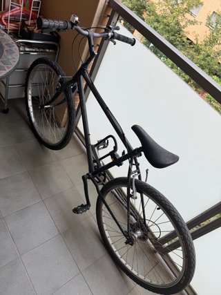 Bicicleta negra