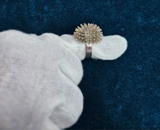 Anillo de Plata 925 - Diseño Coral Marino