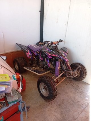 Gas gas 300 2t
