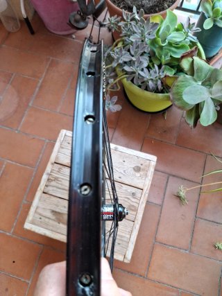 Rueda SUNRINGLÉ Equalizer 26" delantera disc