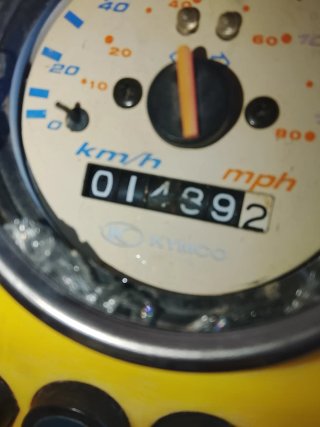 Quad Kymco KXR 250 Amarillo