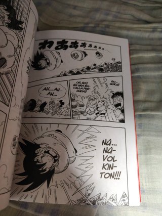 Manga Bola de Drac N3