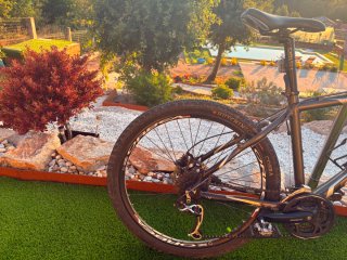Bicicleta Orbea de Montaña