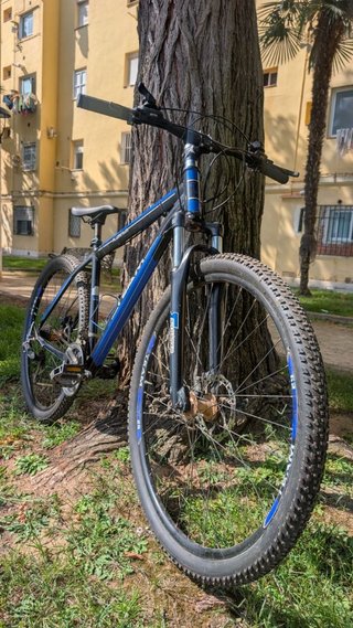 Bicicleta Team MTB 29 Talla M - 24v