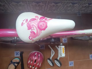 Bicicleta infantil rosa 20 con ruedines