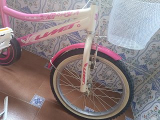 Bicicleta infantil rosa 20 con ruedines