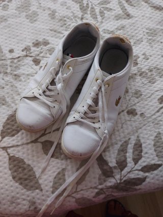Tenis Lacoste Blancos