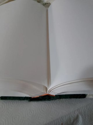 Álbum de fotos Novias hecho a mano