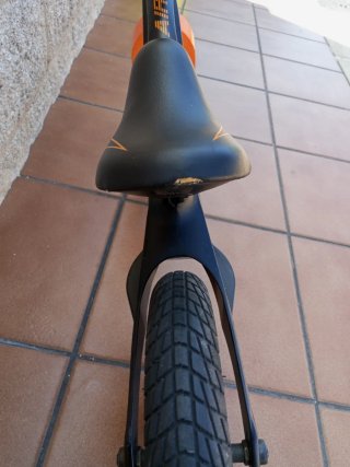 Bici de equilibrio Lionelo Bart Air