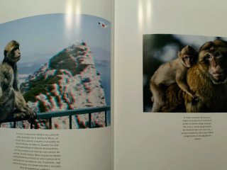 "HISPANIA" SU PATRIMONIO NATURAL Y SU FAUNA IBÉ...