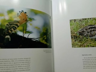 "HISPANIA" SU PATRIMONIO NATURAL Y SU FAUNA IBÉ...