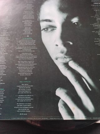 LP Terence Trent D'Arby Introducing The Hardline