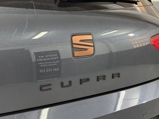 SEAT LEON CUPRA 290CV DSG 2019