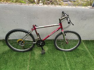 Bicicleta Phoenix 24 pulgadas