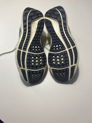 Nike Pegasus 39 Talla 44.5 US 10.5
