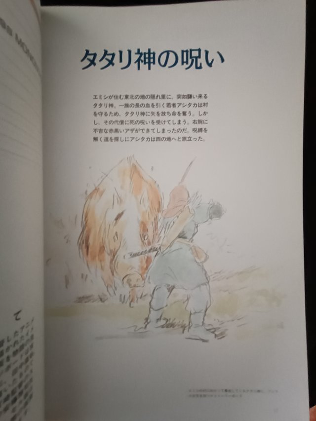 The Art of The Princess Mononoke ( Studio Ghibl...