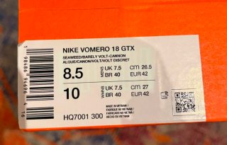 Nike Vomero 18 GORE-TEX Zapatillas Running Hombre