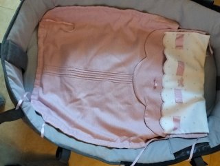 Carro de bebé Bugaboo Rosa