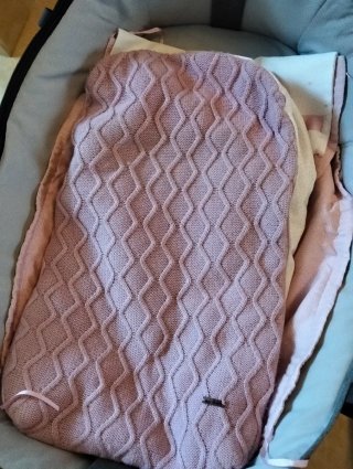 Carro de bebé Bugaboo Rosa