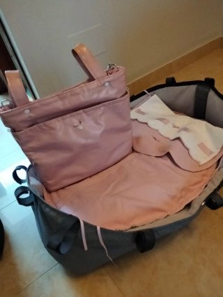Carro de bebé Bugaboo Rosa
