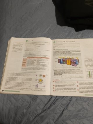Biología, Geología y CC. Ambientales 1º Bachill...