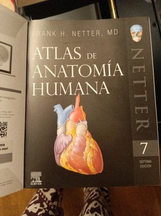 LIBRO ANATOMIA de GRAY + ATLAS + FLASHCARDS