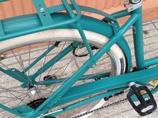 Bicicleta Urbana Verde