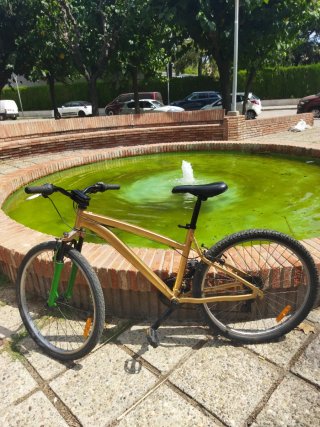 Bicicleta de montaña dorada