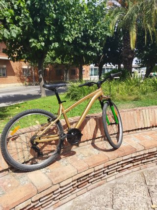 Bicicleta de montaña dorada