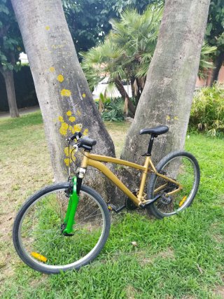 Bicicleta de montaña dorada