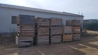 Cajas de madera para fruta