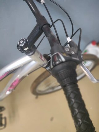 Bicicleta Aluminio Mujer