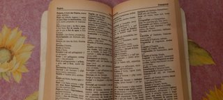 Dizionario Spagnolo-Italiano