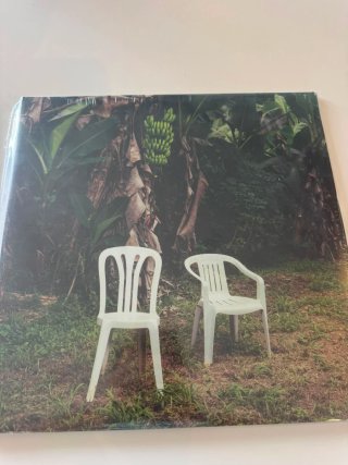 Vinilo Debí Tirar Más Fotos