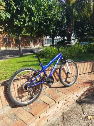 Bicicleta 24 Azul
