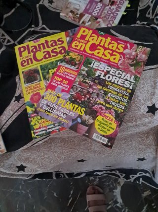 Lote de revistas de peinados de novias y de planta