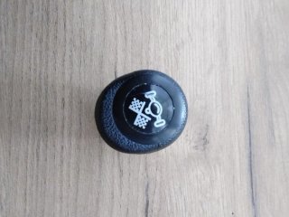 Pomo Palanca Cambios Coche Negro