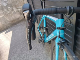 Bicicleta Carretera Focus Cayo 2017