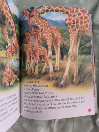 Historias de animales