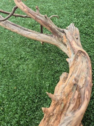 Rama de Enebro para Tanuki
