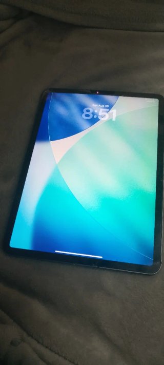 iPad Pro 11 2019 64GB WiFi+Cellular Gris