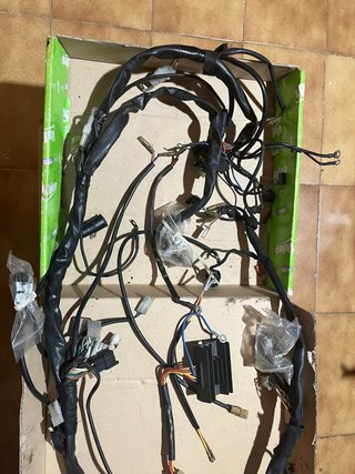 Cableado Aprilia RS 125 2006 Euro2